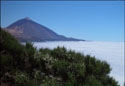 teide ...