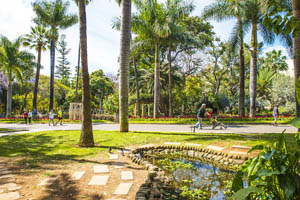 Parque Sanabria  na Tenerife